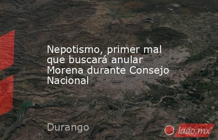 Nepotismo, primer mal que buscará anular Morena durante Consejo Nacional. Noticias en tiempo real