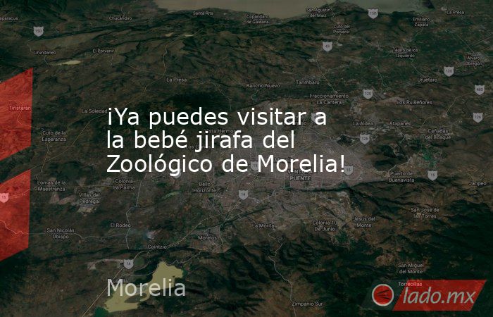 ¡Ya puedes visitar a la bebé jirafa del Zoológico de Morelia!. Noticias en tiempo real