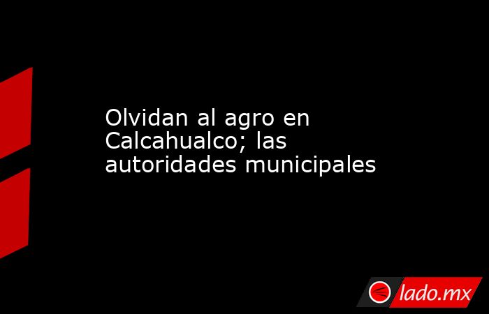 Olvidan al agro en Calcahualco; las autoridades municipales. Noticias en tiempo real