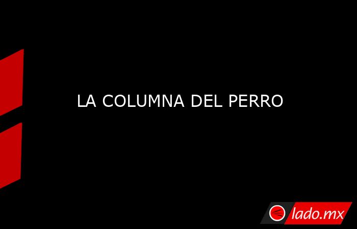 LA COLUMNA DEL PERRO. Noticias en tiempo real