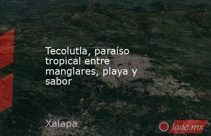 Tecolutla, paraíso tropical entre manglares, playa y sabor. Noticias en tiempo real
