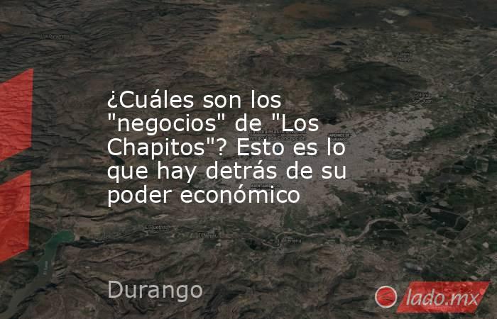 ¿Cuáles son los 