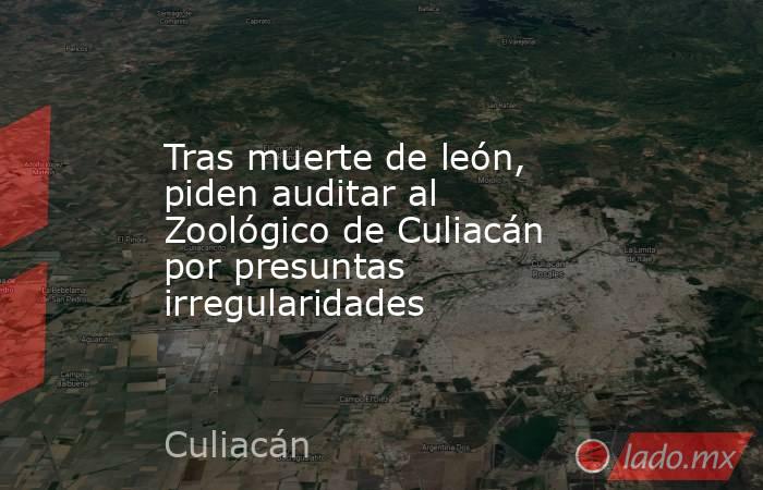 Tras muerte de león, piden auditar al Zoológico de Culiacán por presuntas irregularidades. Noticias en tiempo real