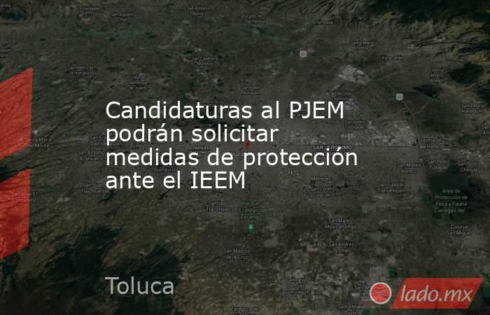 Candidaturas al PJEM podrán solicitar medidas de protección ante el IEEM. Noticias en tiempo real