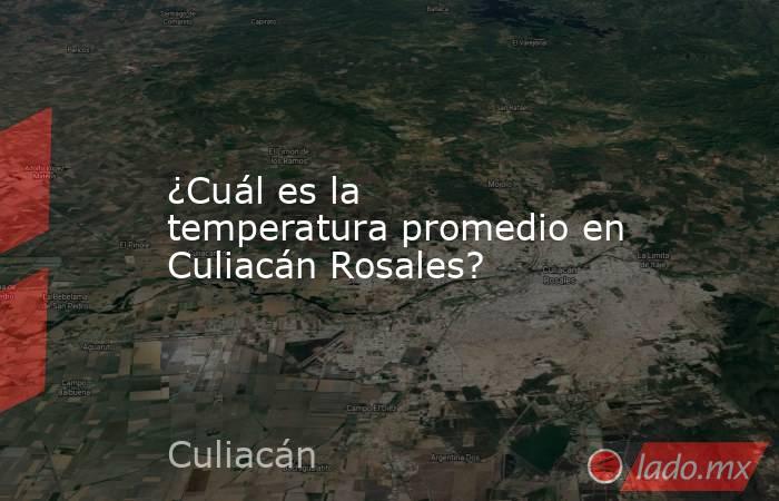 ¿Cuál es la temperatura promedio en Culiacán Rosales?. Noticias en tiempo real