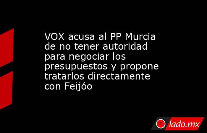 VOX acusa al PP Murcia de no tener autoridad para negociar los presupuestos y propone tratarlos directamente con Feijóo. Noticias en tiempo real