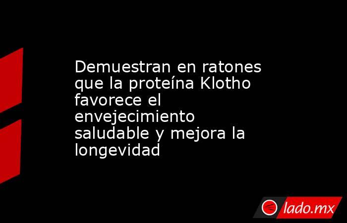 Demuestran en ratones que la proteína Klotho favorece el envejecimiento saludable y mejora la longevidad. Noticias en tiempo real