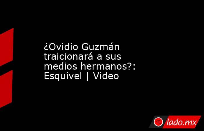 ¿Ovidio Guzmán traicionará a sus medios hermanos?: Esquivel | Video. Noticias en tiempo real