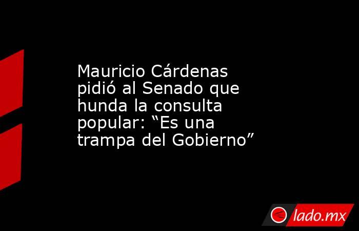 Mauricio Cárdenas pidió al Senado que hunda la consulta popular: “Es una trampa del Gobierno”. Noticias en tiempo real