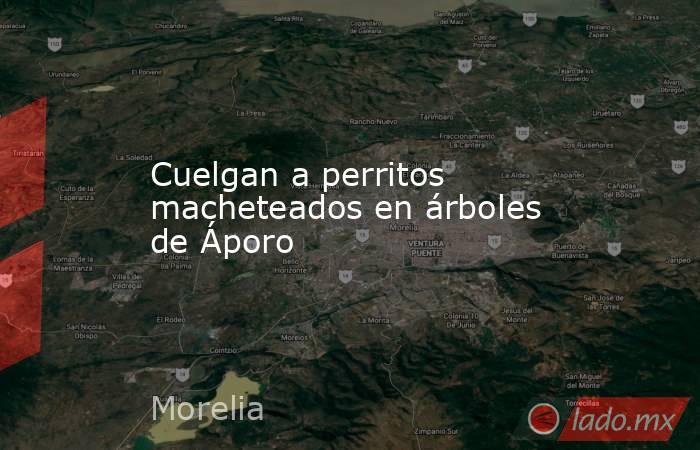 Cuelgan a perritos macheteados en árboles de Áporo. Noticias en tiempo real