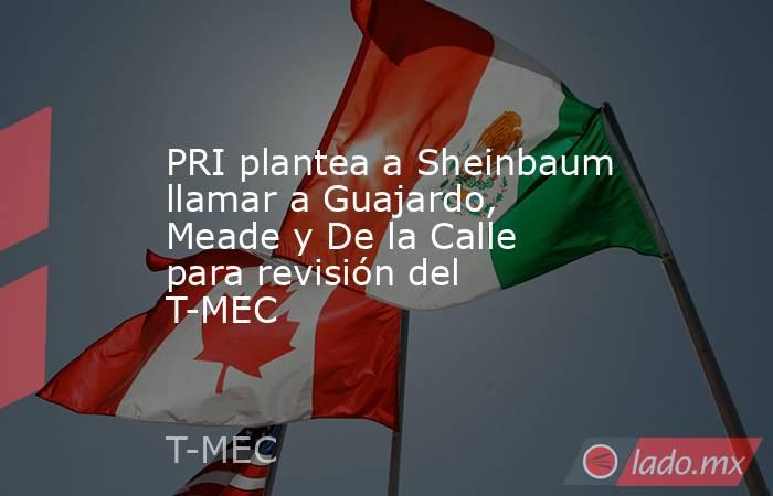 PRI plantea a Sheinbaum llamar a Guajardo, Meade y De la Calle para revisión del T-MEC. Noticias en tiempo real