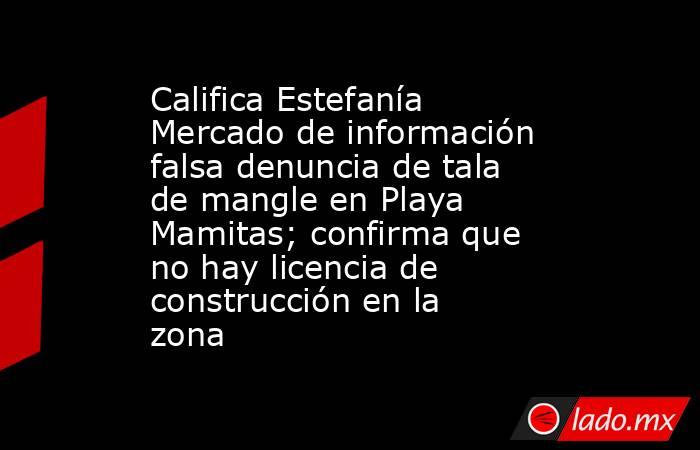 Califica Estefanía Mercado de información falsa denuncia de tala de mangle en Playa Mamitas; confirma que no hay licencia de construcción en la zona. Noticias en tiempo real
