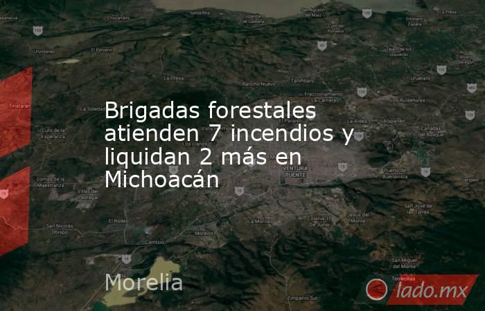 Brigadas forestales atienden 7 incendios y liquidan 2 más en Michoacán. Noticias en tiempo real