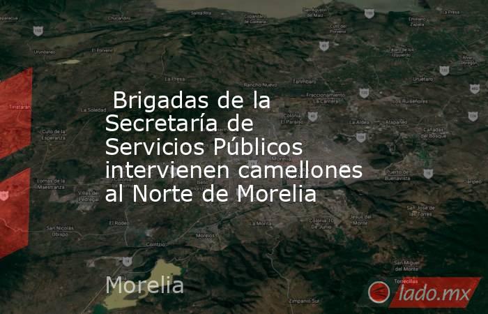  Brigadas de la Secretaría de Servicios Públicos intervienen camellones al Norte de Morelia. Noticias en tiempo real