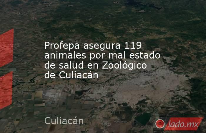 Profepa asegura 119 animales por mal estado de salud en Zoológico de Culiacán. Noticias en tiempo real