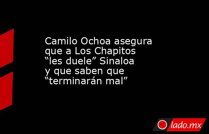Camilo Ochoa asegura que a Los Chapitos “les duele” Sinaloa y que saben que “terminarán mal”. Noticias en tiempo real