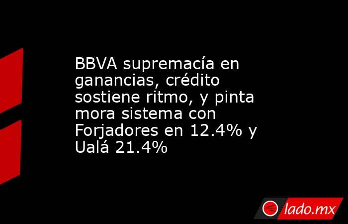 BBVA supremacía en ganancias, crédito sostiene ritmo, y pinta mora sistema con Forjadores en 12.4% y Ualá 21.4%. Noticias en tiempo real
