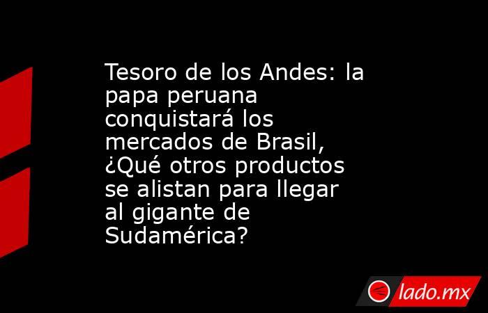 Tesoro de los Andes: la papa peruana conquistará los mercados de Brasil, ¿Qué otros productos se alistan para llegar al gigante de Sudamérica?. Noticias en tiempo real