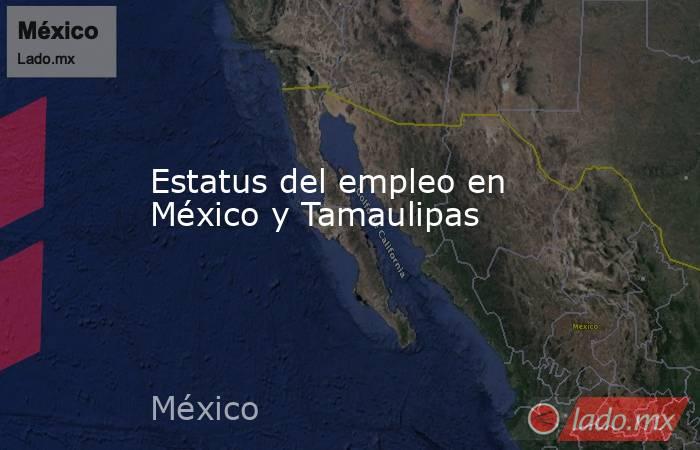 Estatus del empleo en México y Tamaulipas. Noticias en tiempo real