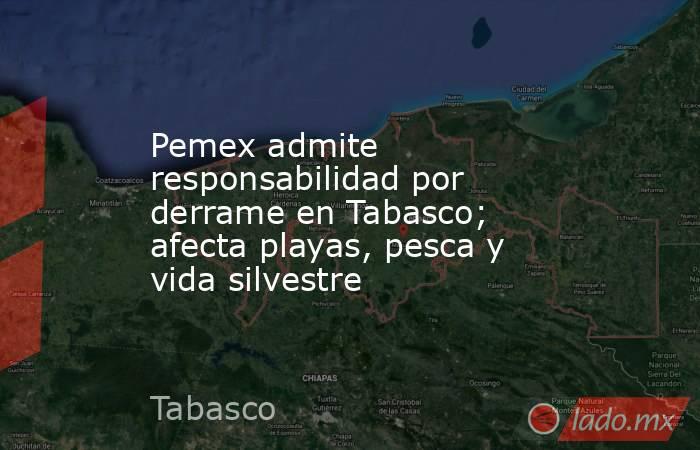 Pemex admite responsabilidad por derrame en Tabasco; afecta playas, pesca y vida silvestre. Noticias en tiempo real