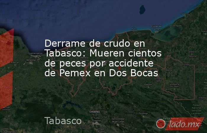 Derrame de crudo en Tabasco: Mueren cientos de peces por accidente de Pemex en Dos Bocas . Noticias en tiempo real