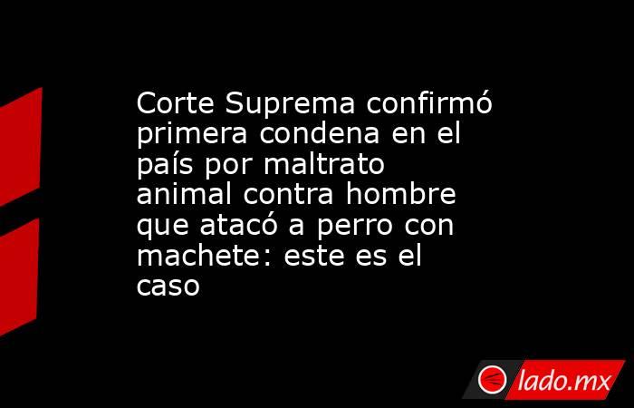 Corte Suprema confirmó primera condena en el país por maltrato animal contra hombre que atacó a perro con machete: este es el caso. Noticias en tiempo real