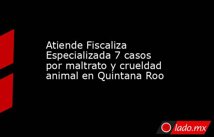 Atiende Fiscaliza Especializada 7 casos por maltrato y crueldad animal en Quintana Roo. Noticias en tiempo real