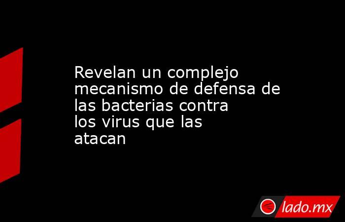 Revelan un complejo mecanismo de defensa de las bacterias contra los virus que las atacan. Noticias en tiempo real