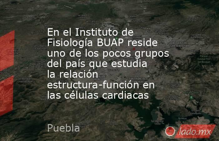 En el Instituto de Fisiología BUAP reside uno de los pocos grupos del país que estudia la relación estructura-función en las células cardiacas. Noticias en tiempo real