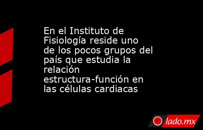 En el Instituto de Fisiología reside uno de los pocos grupos del país que estudia la relación estructura-función en las células cardiacas. Noticias en tiempo real