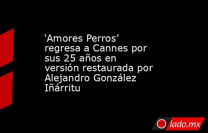 ‘Amores Perros’ regresa a Cannes por sus 25 años en versión restaurada por Alejandro González Iñárritu. Noticias en tiempo real