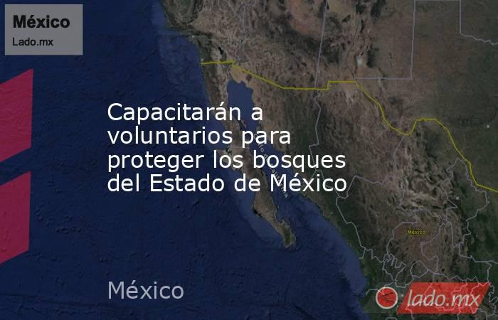 Capacitarán a voluntarios para proteger los bosques del Estado de México. Noticias en tiempo real