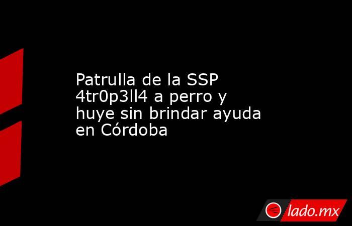 Patrulla de la SSP 4tr0p3ll4 a perro y huye sin brindar ayuda en Córdoba. Noticias en tiempo real