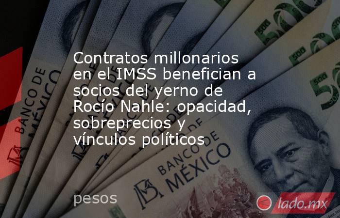 Contratos millonarios en el IMSS benefician a socios del yerno de Rocío Nahle: opacidad, sobreprecios y vínculos políticos. Noticias en tiempo real