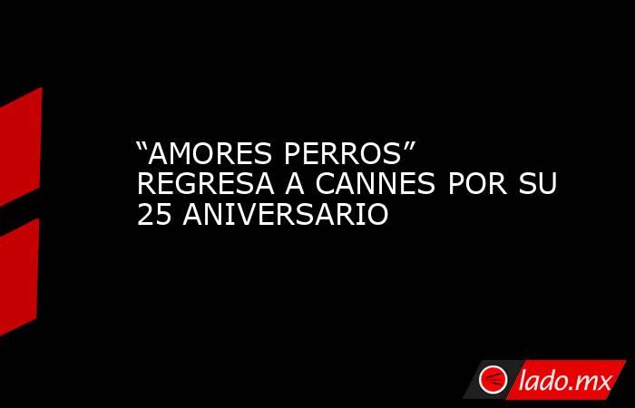 “AMORES PERROS” REGRESA A CANNES POR SU 25 ANIVERSARIO. Noticias en tiempo real