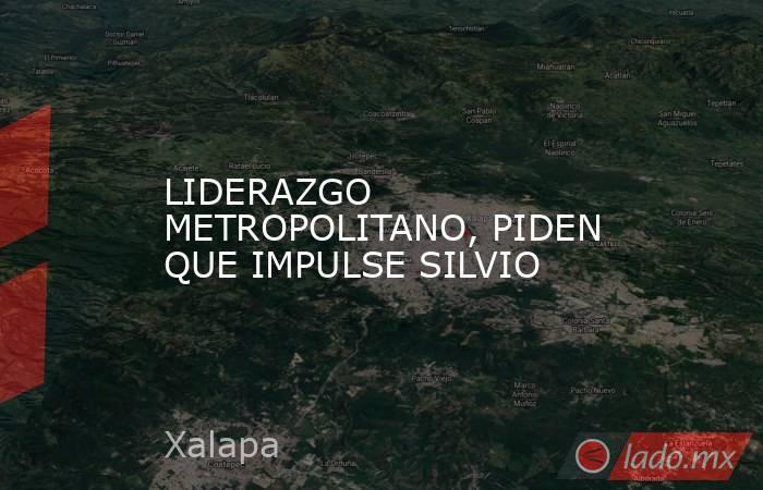 LIDERAZGO METROPOLITANO, PIDEN QUE IMPULSE SILVIO. Noticias en tiempo real