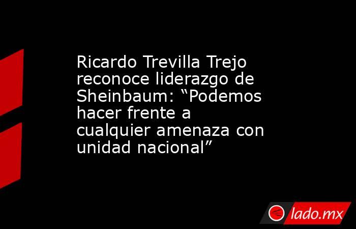 Ricardo Trevilla Trejo reconoce liderazgo de Sheinbaum: “Podemos hacer frente a cualquier amenaza con unidad nacional”. Noticias en tiempo real