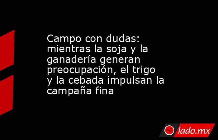 Campo con dudas: mientras la soja y la ganadería generan preocupación, el trigo y la cebada impulsan la campaña fina. Noticias en tiempo real