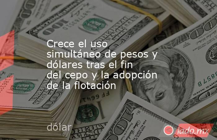 Crece el uso simultáneo de pesos y dólares tras el fin del cepo y la adopción de la flotación. Noticias en tiempo real