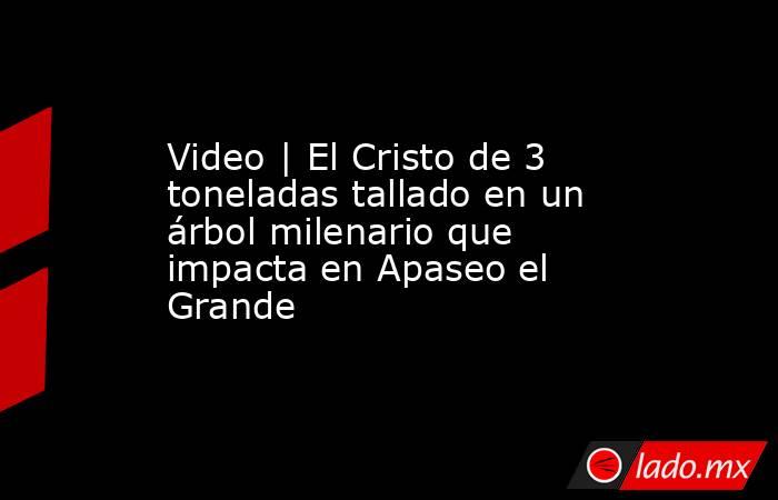 Video | El Cristo de 3 toneladas tallado en un árbol milenario que impacta en Apaseo el Grande. Noticias en tiempo real