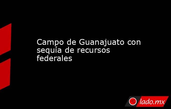 Campo de Guanajuato con sequía de recursos federales. Noticias en tiempo real