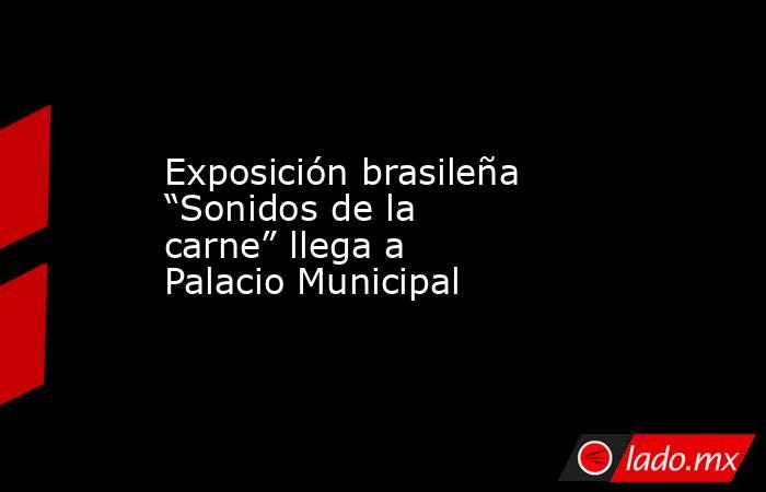 Exposición brasileña “Sonidos de la carne” llega a Palacio Municipal. Noticias en tiempo real