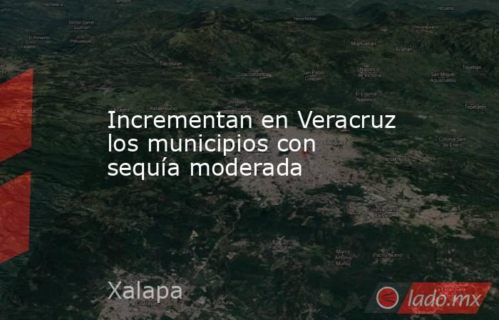 Incrementan en Veracruz los municipios con sequía moderada. Noticias en tiempo real