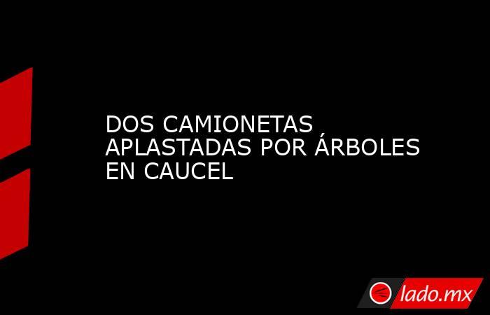 DOS CAMIONETAS APLASTADAS POR ÁRBOLES EN CAUCEL. Noticias en tiempo real
