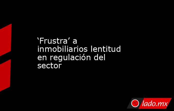 ‘Frustra’ a inmobiliarios lentitud en regulación del sector. Noticias en tiempo real