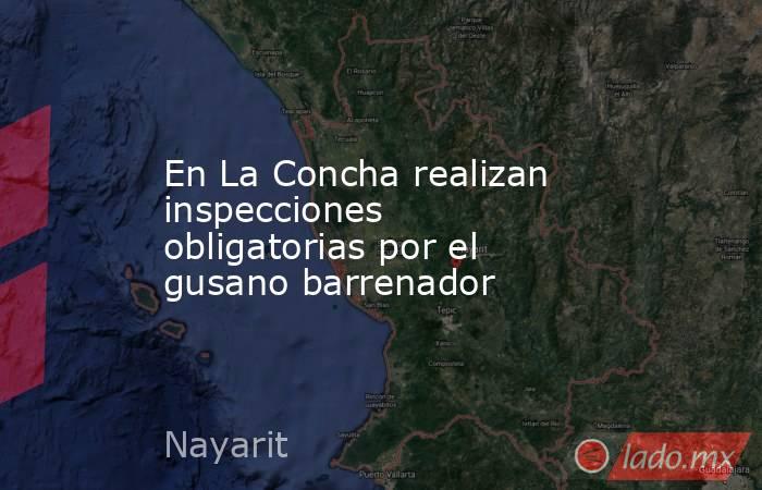 En La Concha realizan inspecciones obligatorias por el gusano barrenador. Noticias en tiempo real
