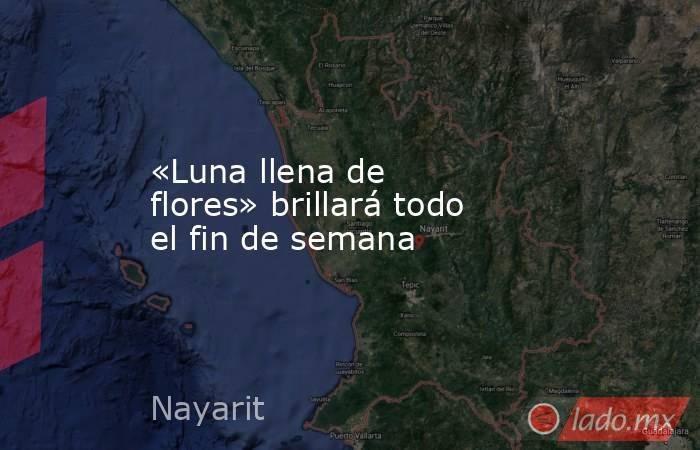 «Luna llena de flores» brillará todo el fin de semana. Noticias en tiempo real