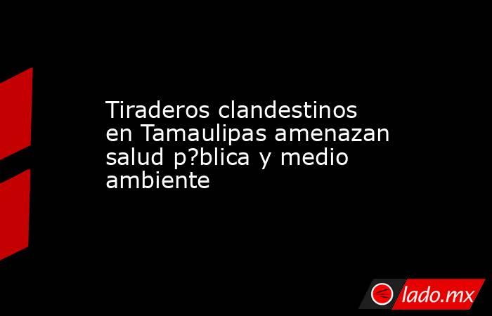 Tiraderos clandestinos en Tamaulipas amenazan salud p?blica y medio ambiente. Noticias en tiempo real