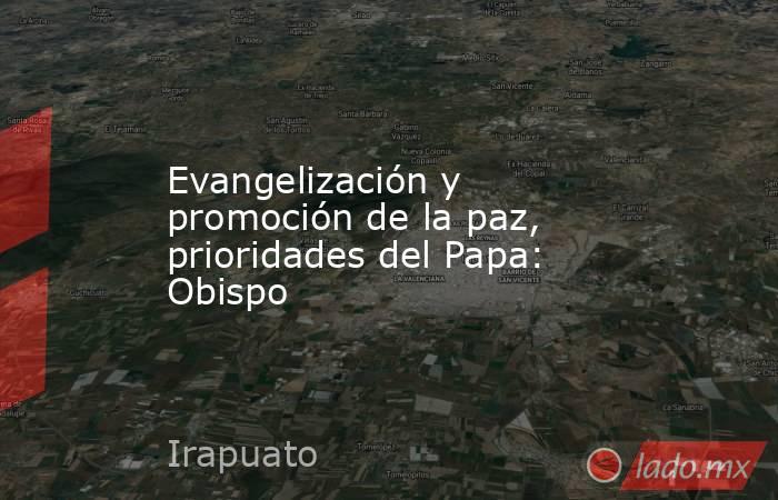 Evangelización y promoción de la paz, prioridades del Papa: Obispo. Noticias en tiempo real