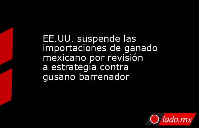 EE.UU. suspende las importaciones de ganado mexicano por revisión a estrategia contra gusano barrenador. Noticias en tiempo real